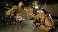 Visuel de Le nouveau chamane