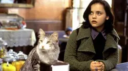 Le nouvel espion aux pattes de velours