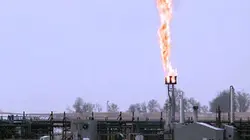 Visuel de Le nouvel or noir de l'Amérique