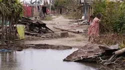 Le Pacifique : un océan de solutions