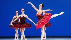 Visuel de Le Palais de cristal