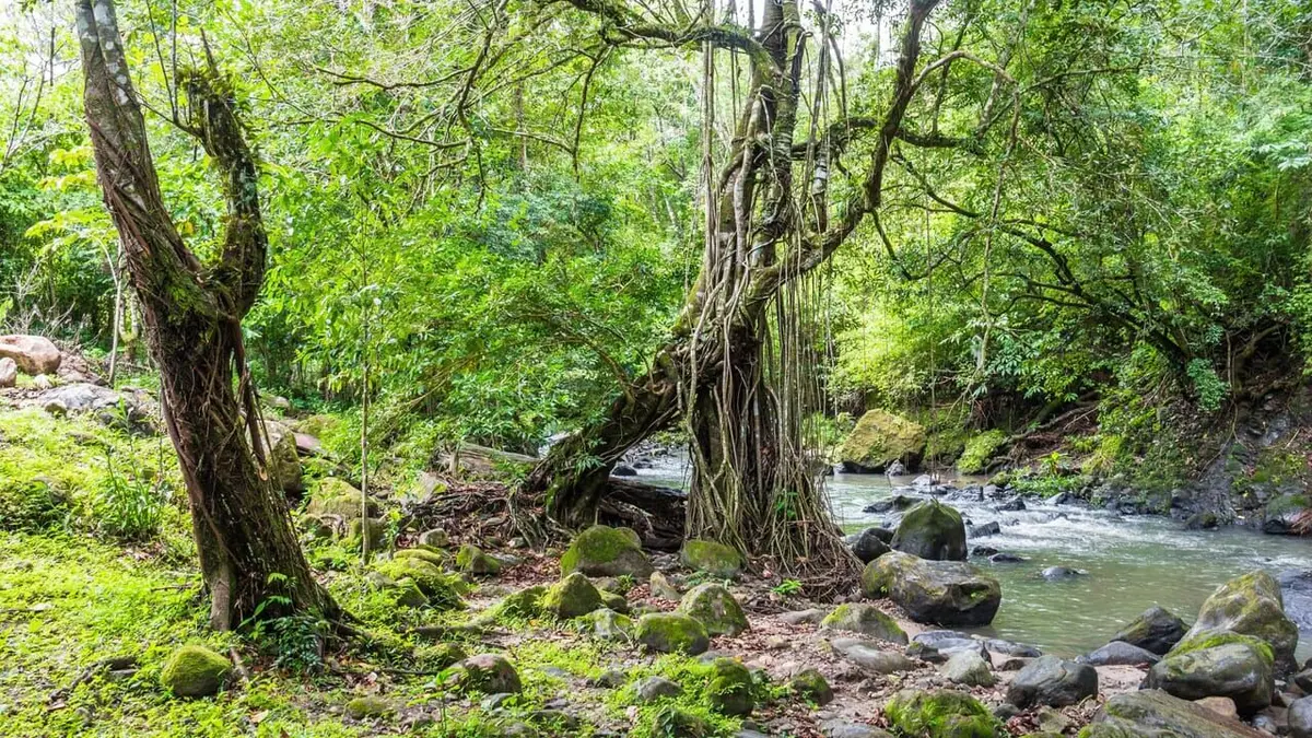Le Panama, côté sauvage