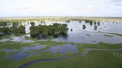 Le paradis perdu d'Afrique