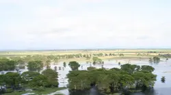 Le paradis perdu d'Afrique
