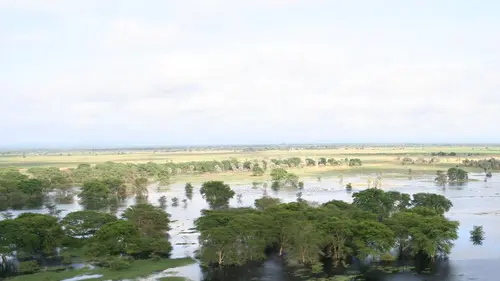 Le paradis perdu d'Afrique