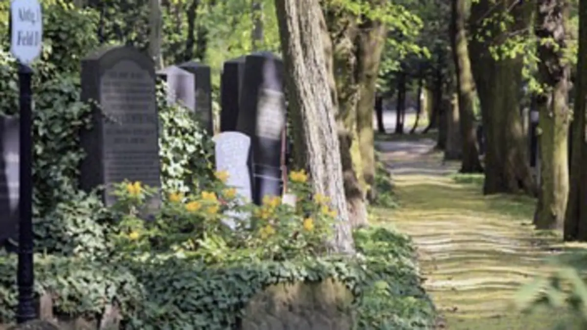 Le paradis sous terre