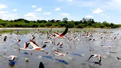 Le Paraguay sauvage Le Nord