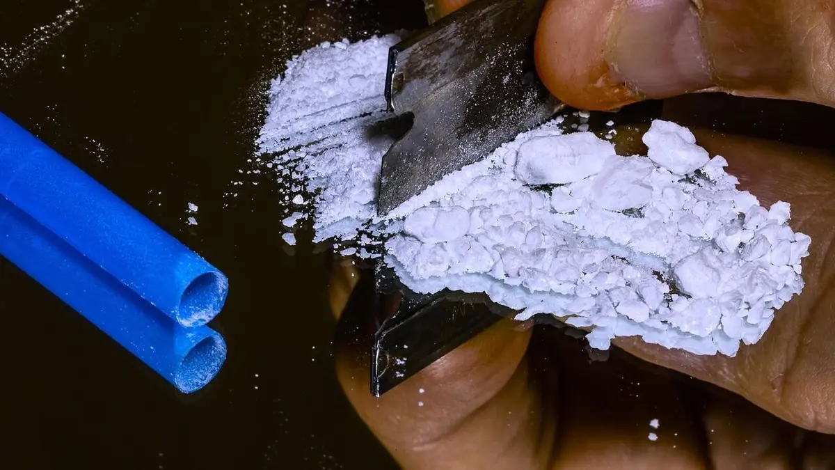 Visuel de Le Patriarche, le gourou des drogués La multinationale de la désintox