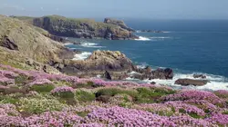 Le Pays de Galles sauvage