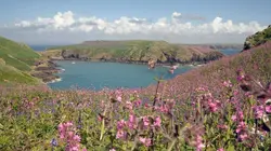 Le Pays de Galles sauvage