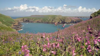 Le pays de Galles sauvage