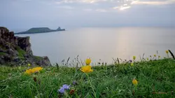 Le Pays de Galles sauvage