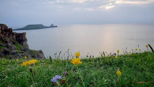 Épisodes de Le Pays de Galles sauvage