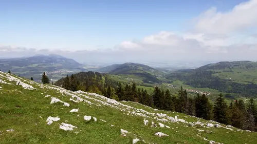 Le pays des merveilles