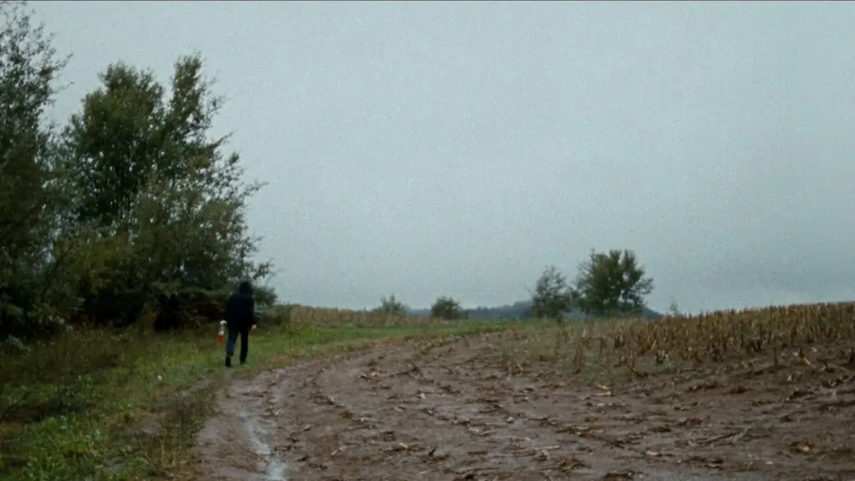 Le paysage et la rage