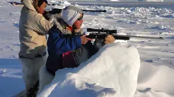 Le petit chasseur de l'Arctique