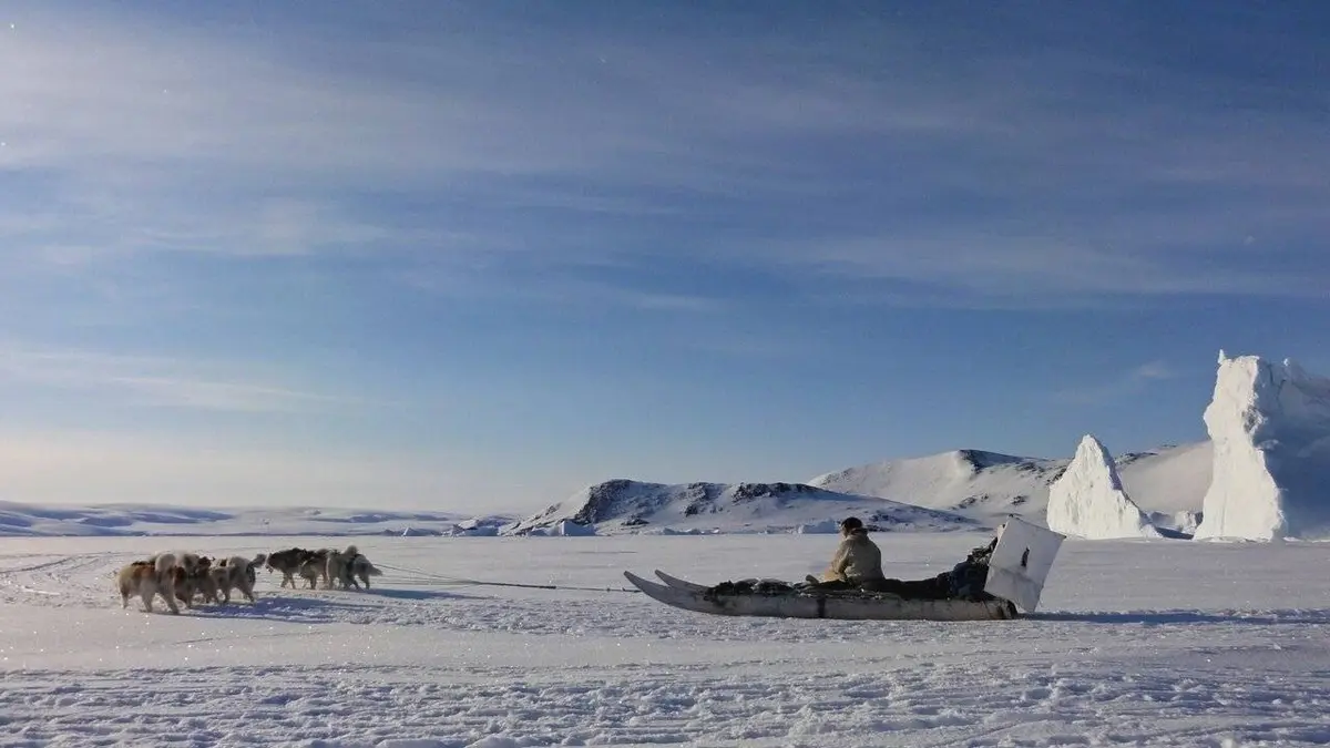 Le petit chasseur de l'Arctique