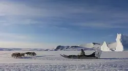 Le petit chasseur de l'Arctique