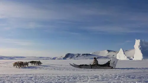 Casting Le petit chasseur de l'Arctique