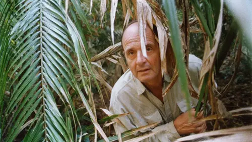 Le petit Dieter a la tête dans les nuages