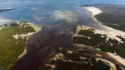 Le petit peuple des rivages La baie de Chwaka, Zanzibar