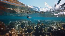 Le petit peuple des rivages La baie de Chwaka, Zanzibar