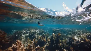 La baie de Chwaka, Zanzibar