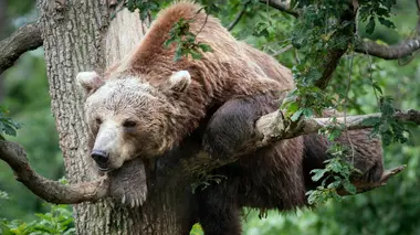 Au fil de l'histoire