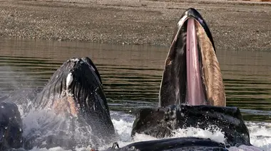 De la terre à la mer