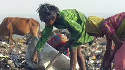 Visuel de Le peuple des ordures