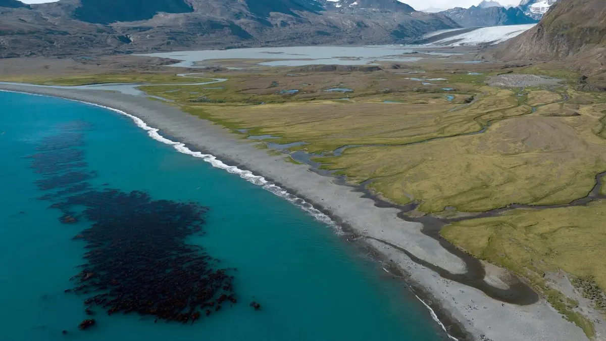 Le peuple des tempêtes Les ailes du courage