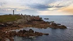 Le phare breton et les abeilles