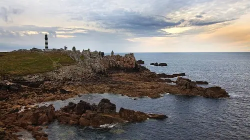 Le phare breton et les abeilles
