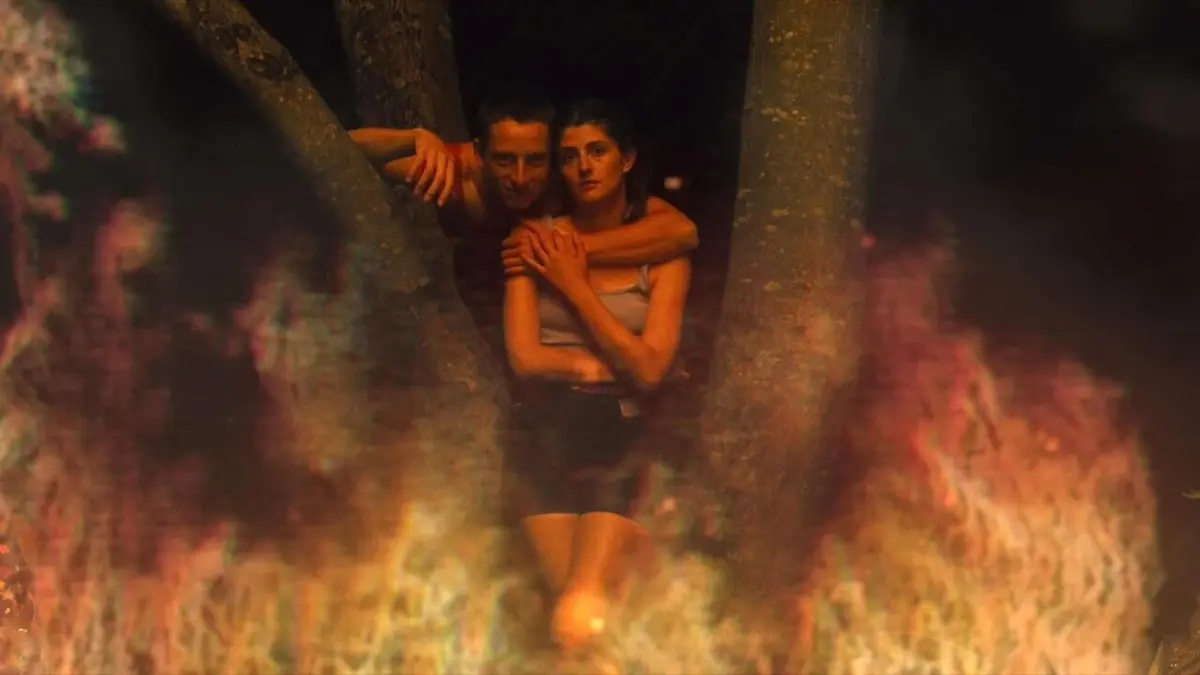 Le phasme et l'ortie