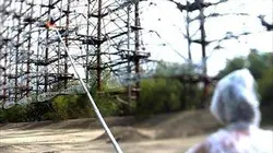 Visuel de Le pic-vert russe