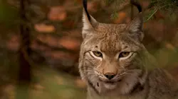 Le plus beau pays du monde Premier opus