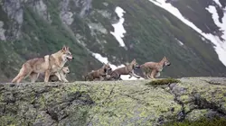 Audiences TV : Le plus beau pays du monde