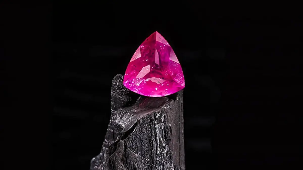 Le plus grand trésor du monde