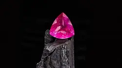 Le plus grand trésor du monde