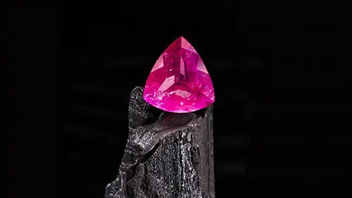 Le plus grand trésor du monde