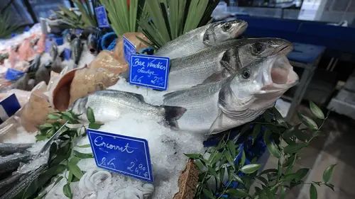 Le poisson : à consommer sans modération ?