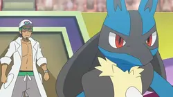 Le pouvoir de l'évolution!