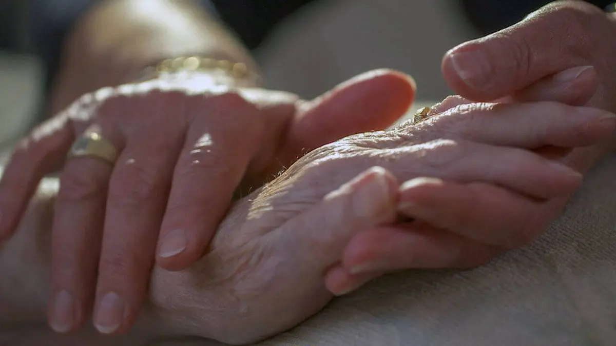 Le pouvoir des caresses : Le toucher, un contact vital