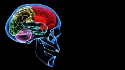 Le pouvoir nuit-il gravement au cerveau ?