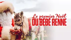 Le premier Noël du bébé renne