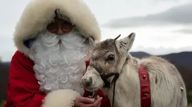 Le premier Noël du bébé renne