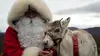Narrator dans Le premier Noël du bébé renne (2020)