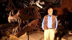 Le premier Tyrannosaure