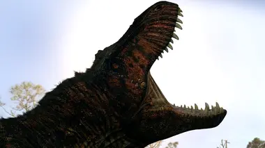 Le premier Tyrannosaure