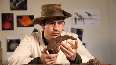 Le premier tyrannosaure E01